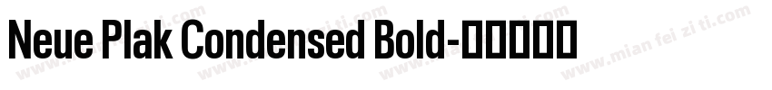 Neue Plak Condensed Bold字体转换